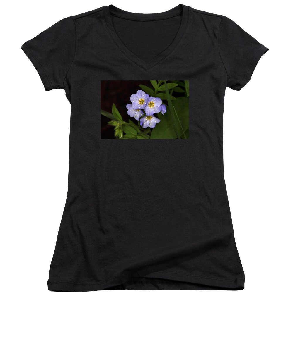 Colorado Women's V-Neck featuring the photograph Jacobs Ladder by Alan Vance Ley