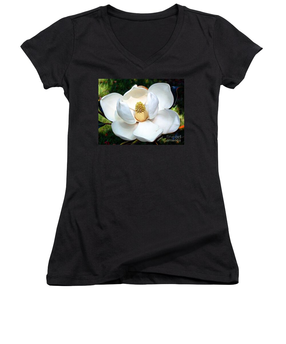 Flower Women's V-Neck featuring the photograph John's Magnolia by Barbara Chichester