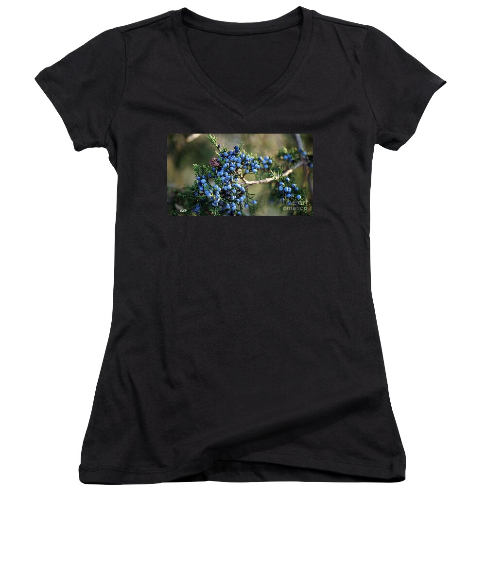 Branch Women's V-Neck featuring the photograph Juniper Berries by Crystal Harman