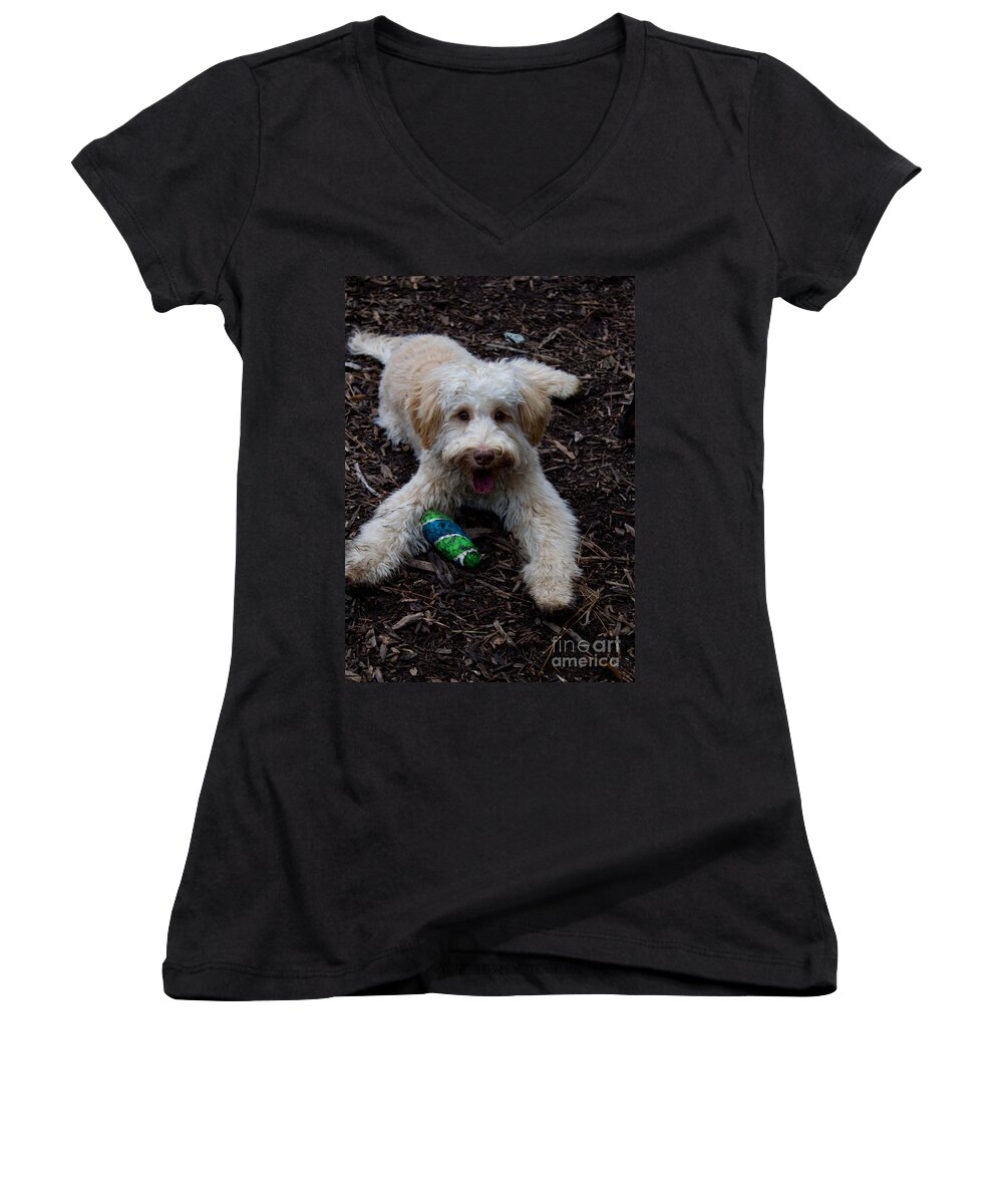 White Women's V-Neck featuring the photograph Labradoodle at Play by Sandra Clark