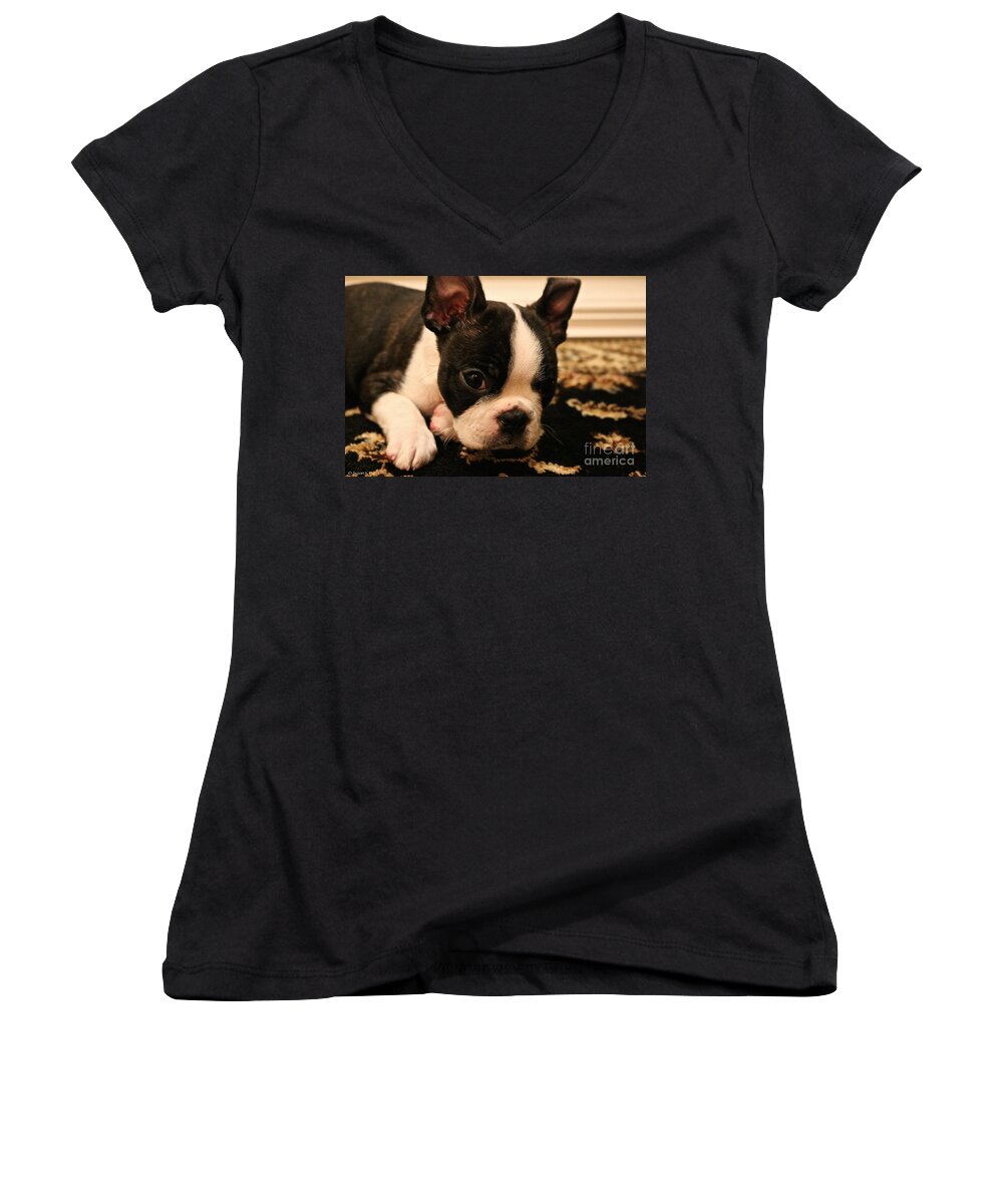 Animal Women's V-Neck featuring the photograph Late Nights by Susan Herber