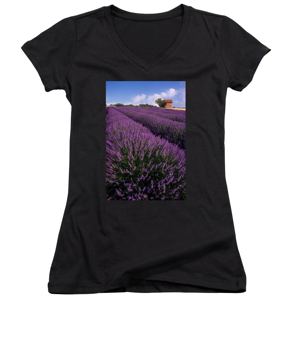 France Women's V-Neck featuring the photograph Lavender in Provence by Matthew Pace