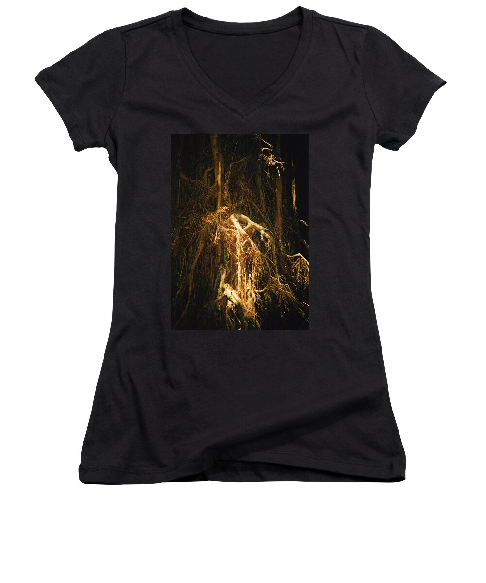 Giant Fig Women's V-Neck featuring the photograph Light Roots by Evelyn Tambour