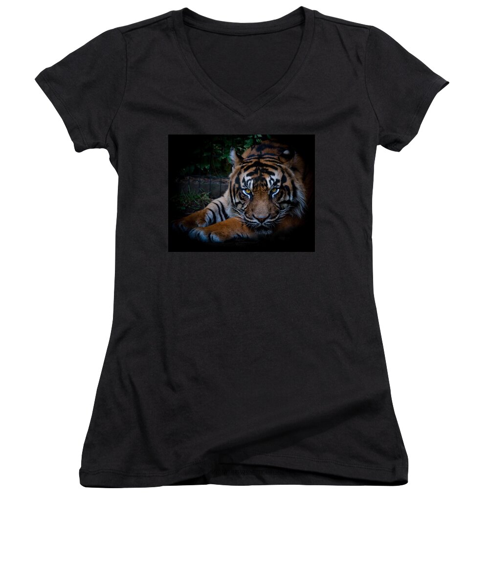 Tiger Women's V-Neck featuring the photograph Like My Eyes? by Robert L Jackson