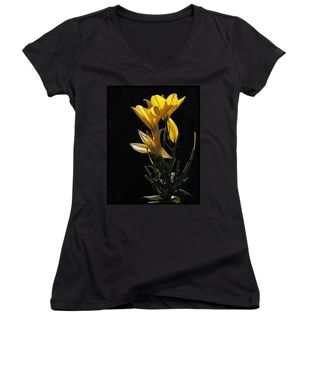 Flowers Women's V-Neck featuring the photograph Lily Light by Suzy Piatt