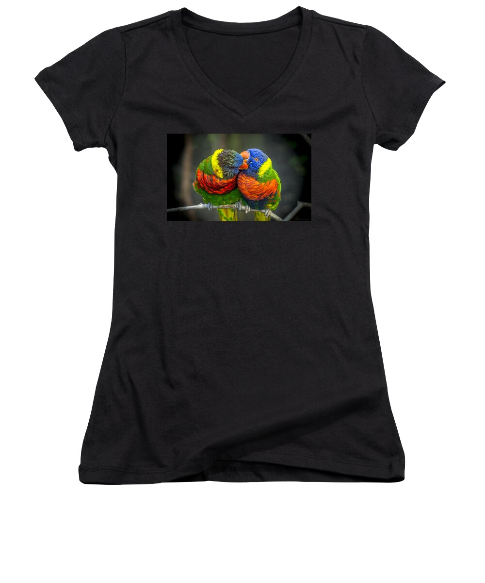 Rainbow Lorikeets Women's V-Neck featuring the photograph Listen by Phil Abrams