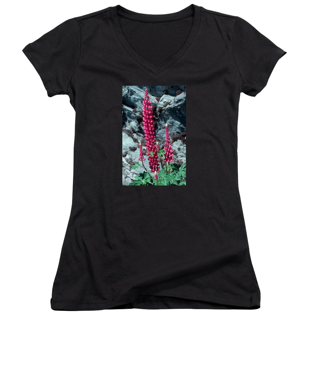 Flower Women's V-Neck featuring the photograph Lupine 1 by Andy Shomock