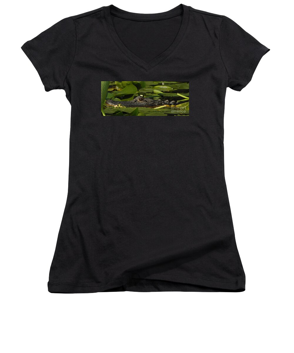 Alligator Women's V-Neck featuring the photograph Lying in Wait by Vivian Christopher