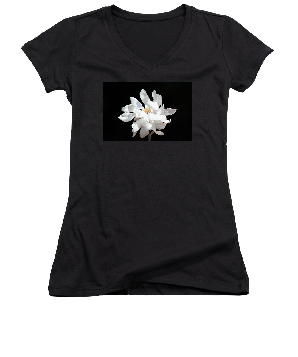 Flower Women's V-Neck featuring the photograph Magnolia Blossom by Trina Ansel
