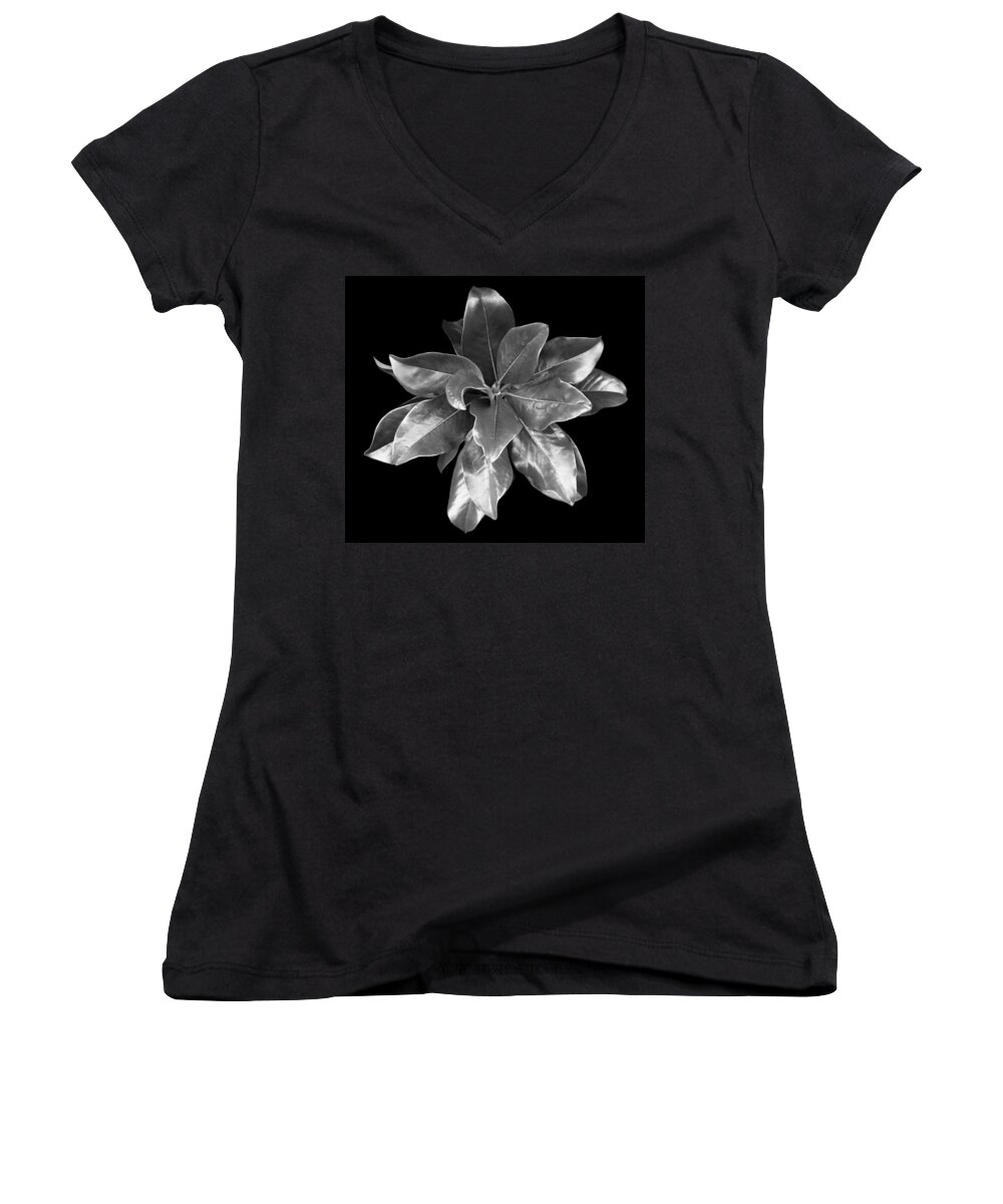Magnolia Women's V-Neck featuring the photograph Magnolia Tree Leaves by Marilyn Hunt