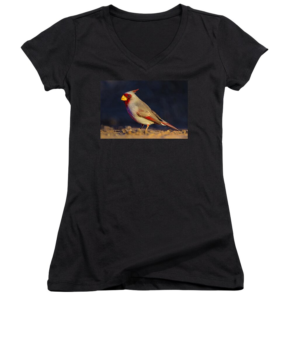 Bird Women's V-Neck featuring the photograph Male Pyrrhuloxia Cardinalis sinuatus by Fred J Lord