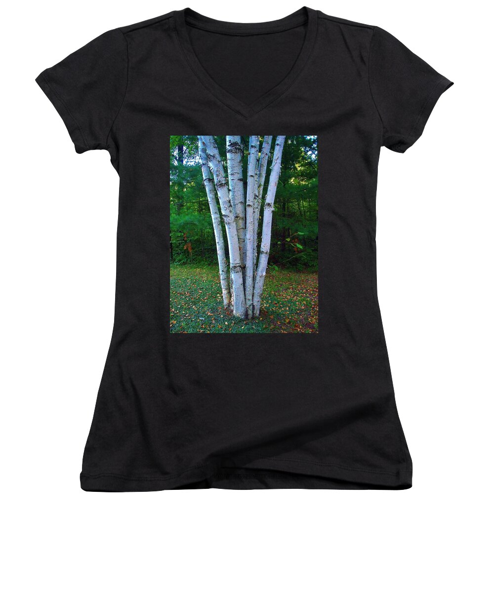 Birch Trees Women's V-Neck featuring the photograph Micro-grove by Daniel Thompson