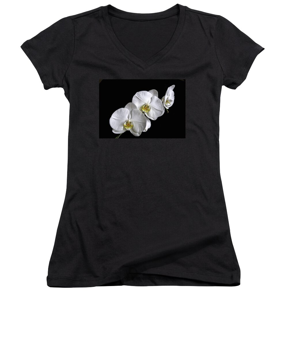 White Moth Orchid Women's V-Neck featuring the photograph Moth Orchid Trio by Ron White