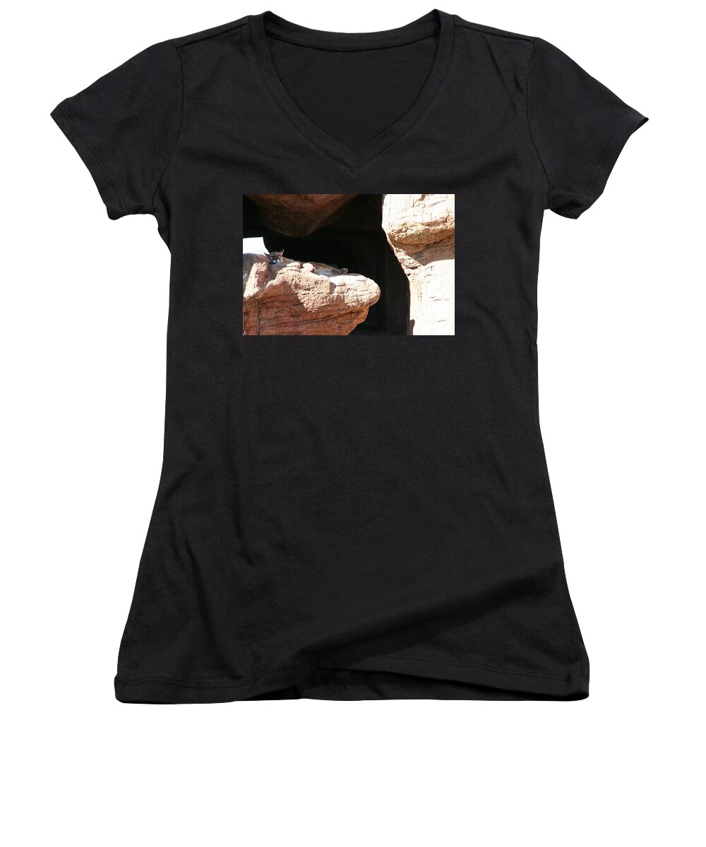 Mountain Lion Women's V-Neck featuring the photograph Mountain Lion by David S Reynolds