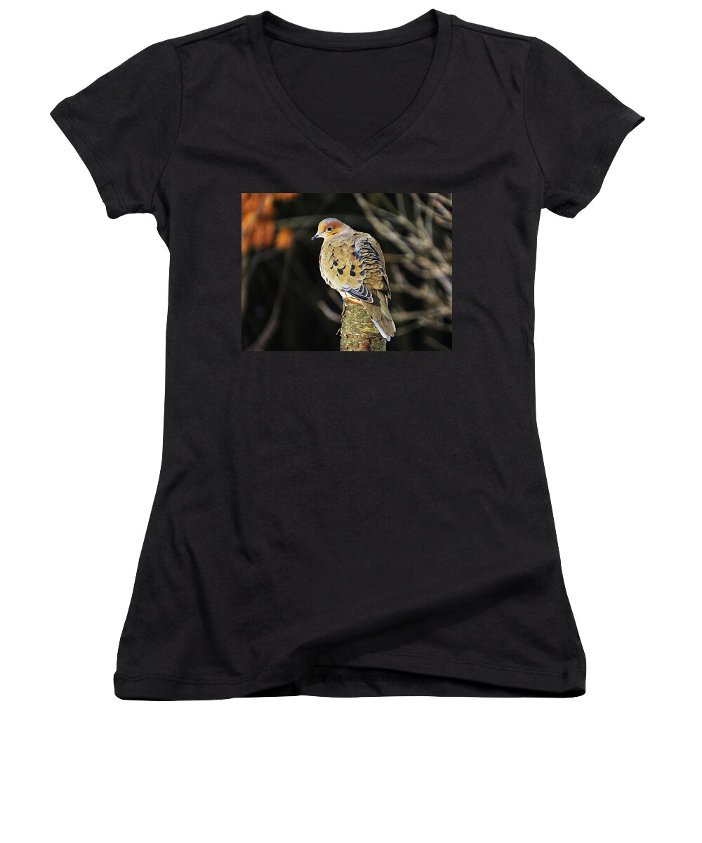 Mourning Dove Women's V-Neck featuring the photograph Mourning Dove on Post by MTBobbins Photography