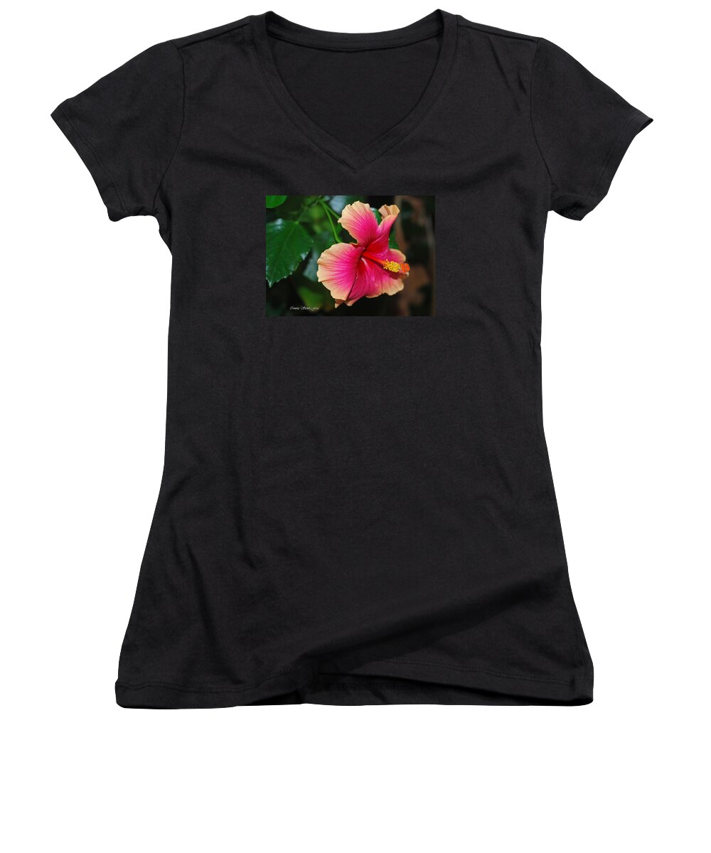 Hibiscus Women's V-Neck featuring the photograph New Every Morning - Hibiscus by Connie Fox