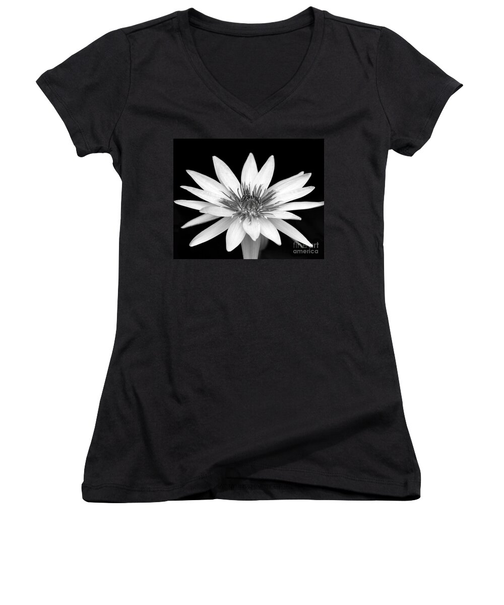 Water Lily Women's V-Neck featuring the photograph One Black and White Water Lily by Sabrina L Ryan
