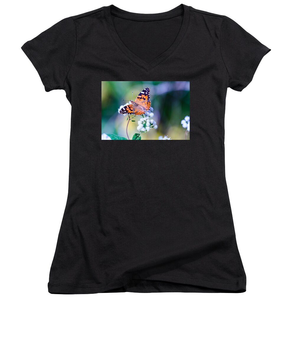 Butterfly Women's V-Neck featuring the photograph Painted Lady Butterfly 1 by Ben Graham