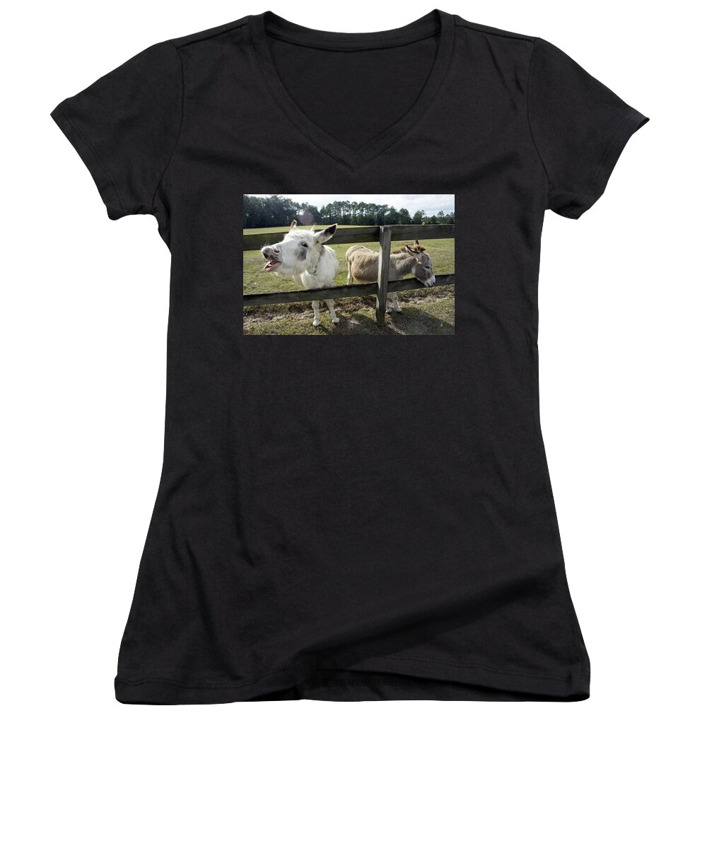 Mill Creek Farm Women's V-Neck featuring the photograph Passive Aggressive Mules by Laurie Perry