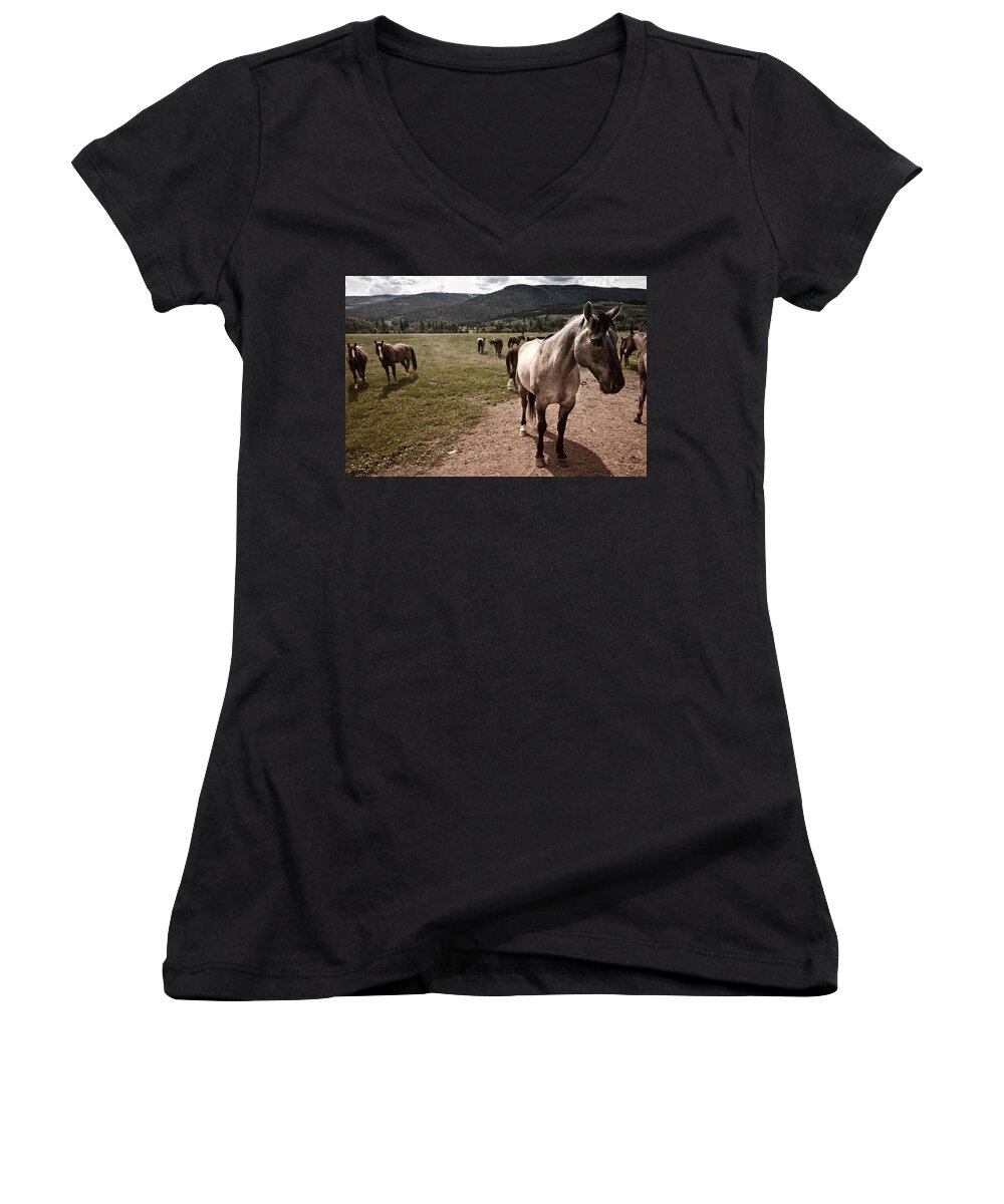 Horse Women's V-Neck featuring the photograph Pay Attention To Me by Monte Arnold