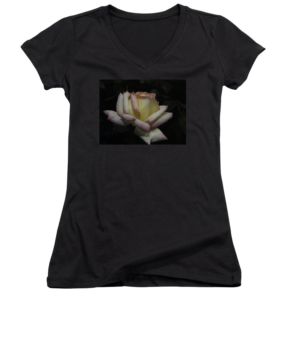 Roses Women's V-Neck featuring the photograph Peace to You and Yours by Lucinda Walter