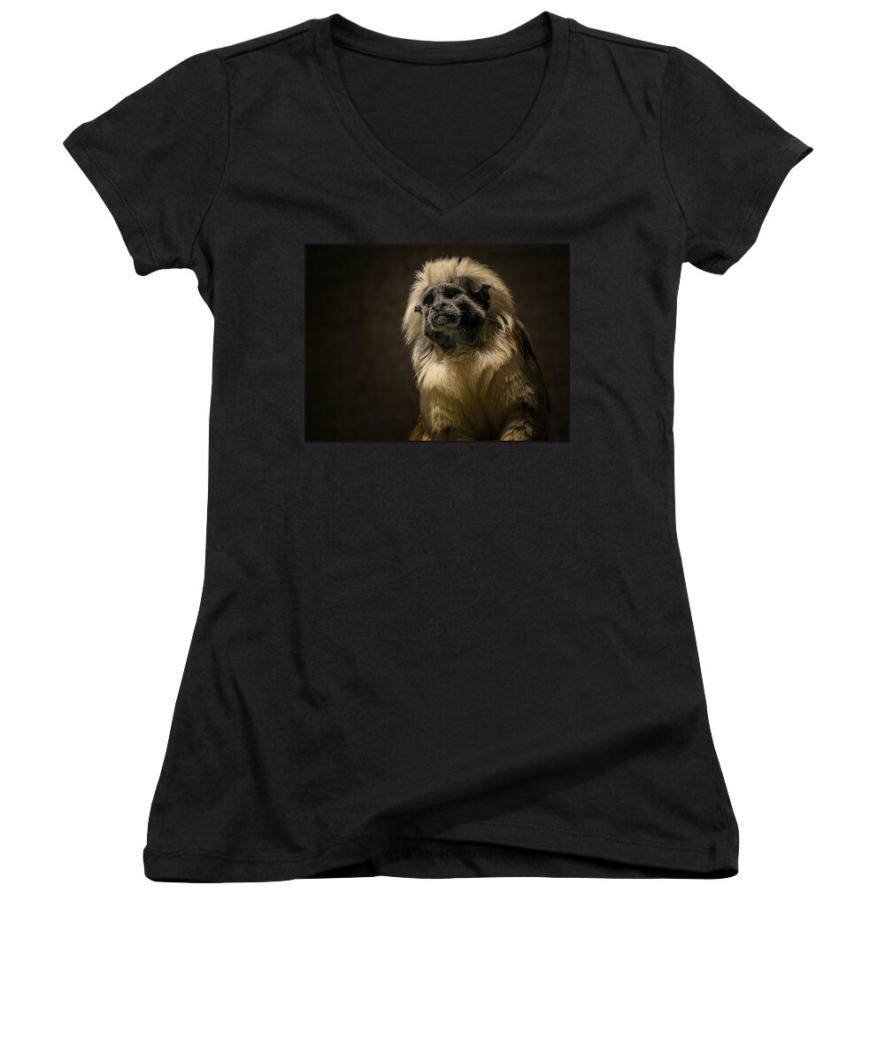 Animal Women's V-Neck featuring the photograph Pensive by Sarah Sever