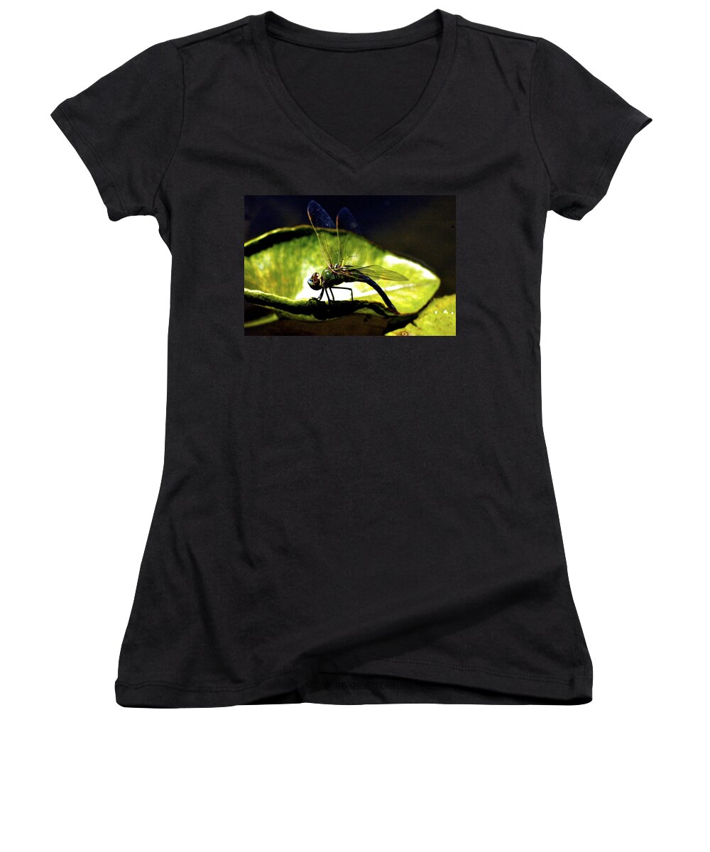Dragonfly Women's V-Neck featuring the photograph Pinao, Giant Hawaiian Dragonfly by Lehua Pekelo-Stearns