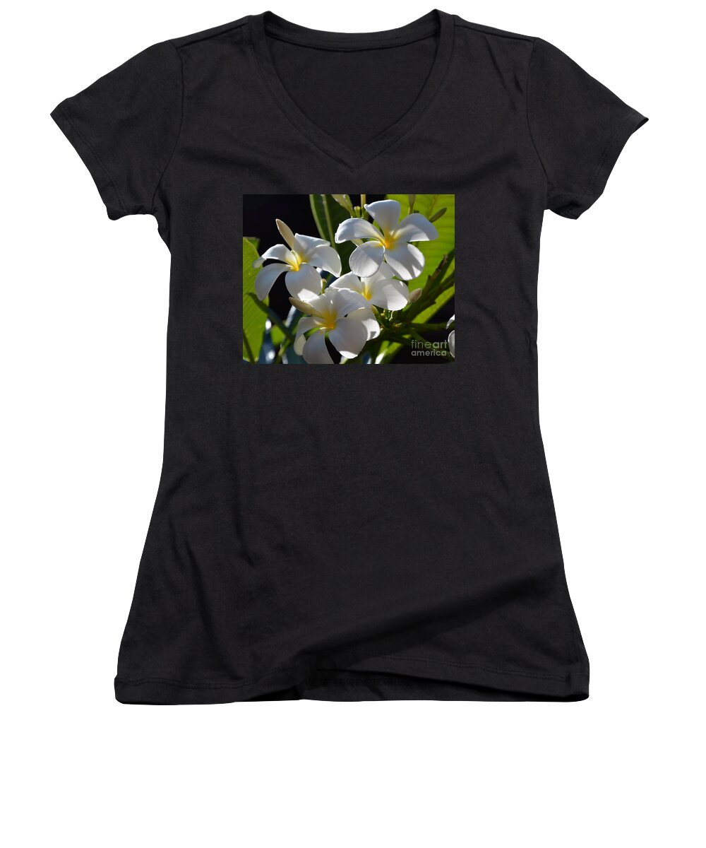 Plumeria Women's V-Neck featuring the photograph Plumeria's III by Robert Meanor