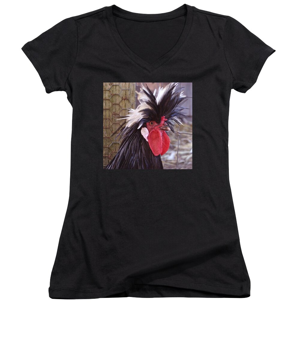 Polish Rooster Women's V-Neck featuring the photograph Polish rooster by K L Kingston