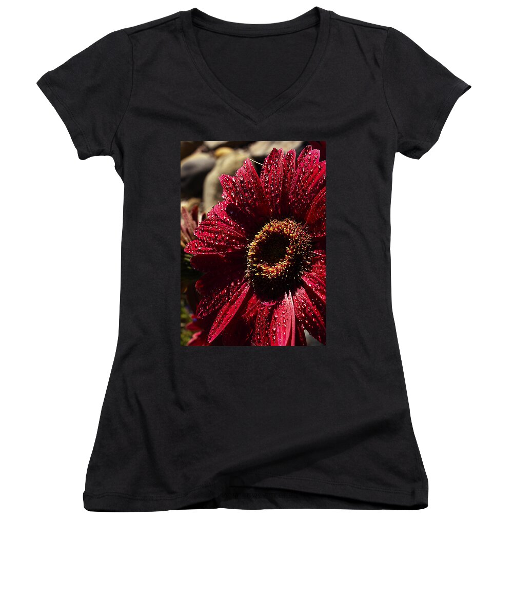 English Daisy Women's V-Neck featuring the photograph Red Dew by Joe Schofield