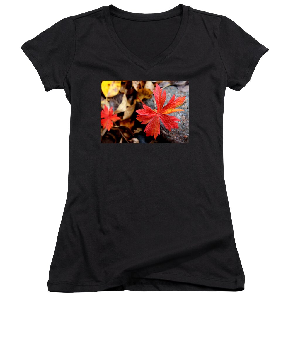 Leave Women's V-Neck featuring the photograph Red Hot by Fiona Kennard