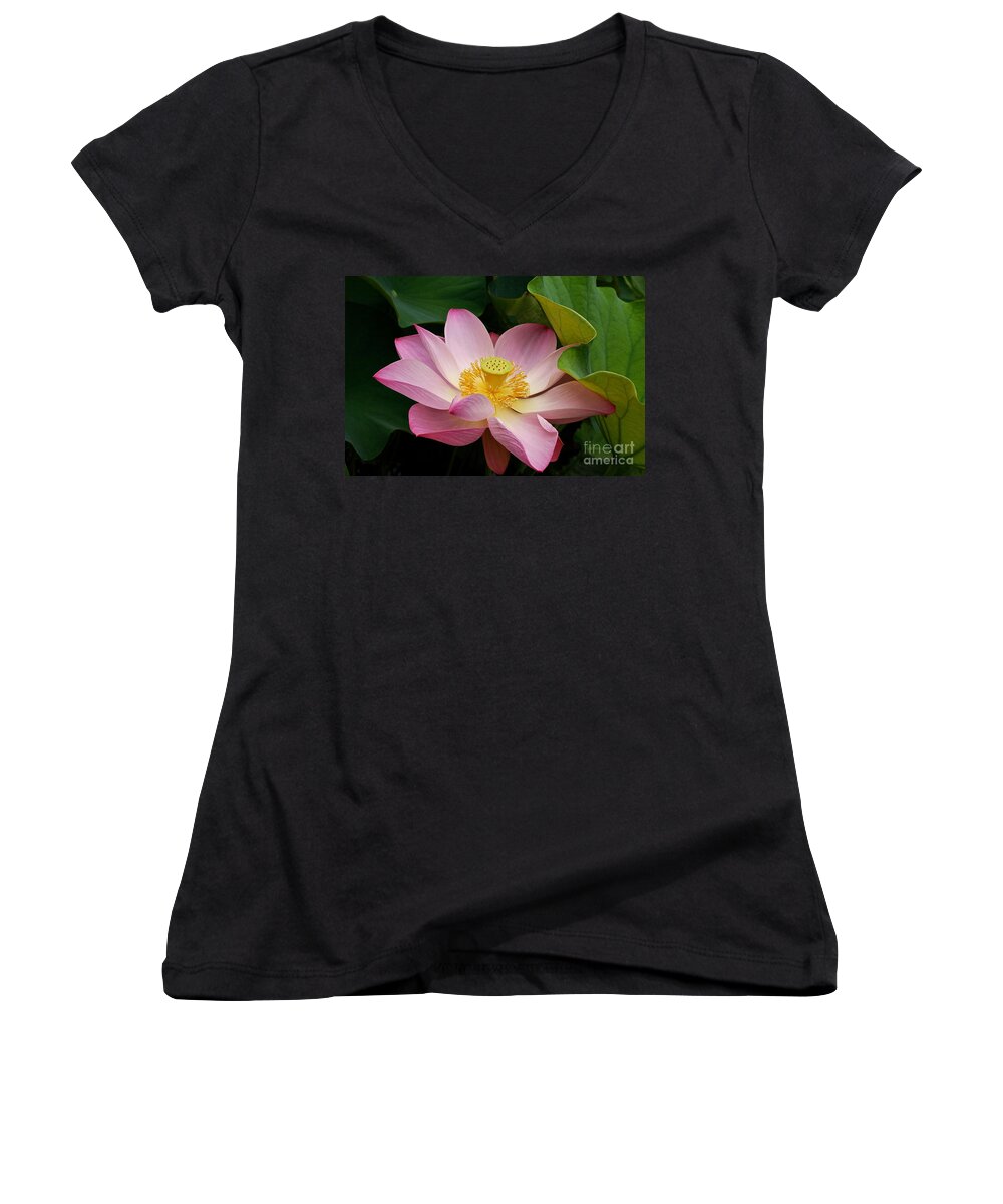 Sacred Light Pink Lotus Women's V-Neck featuring the photograph Sacred Lotus by Byron Varvarigos