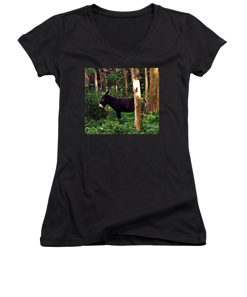 Fine Art Photography Women's V-Neck featuring the photograph Shhh I'm Hiding by Patricia Griffin Brett