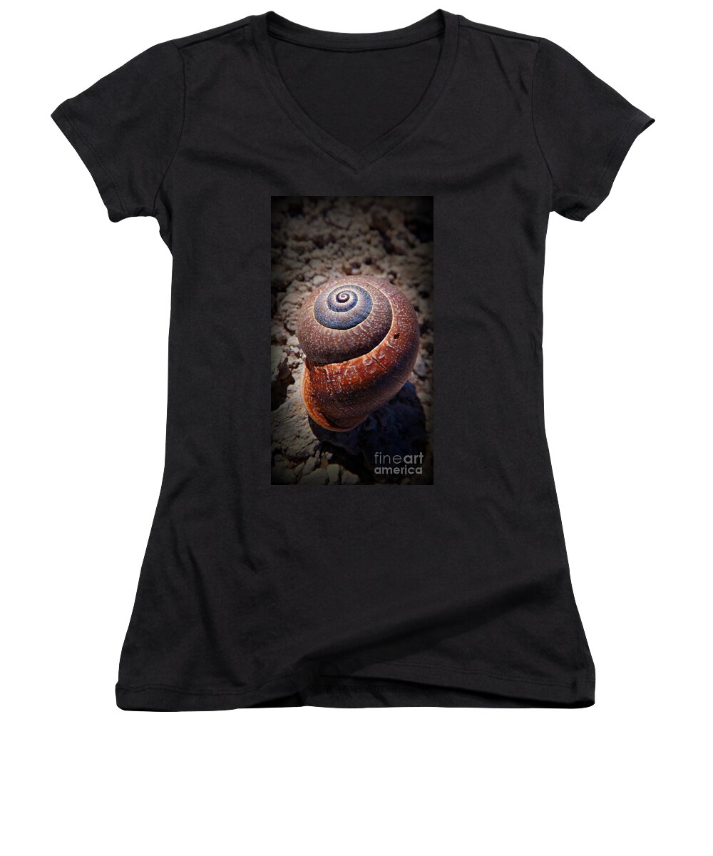 Snail Women's V-Neck featuring the photograph Snail Beauty by Clare Bevan