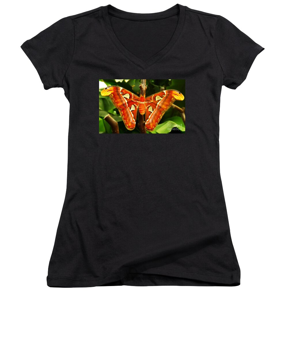 Atlas Women's V-Neck featuring the photograph Snake Head by Clare Bevan