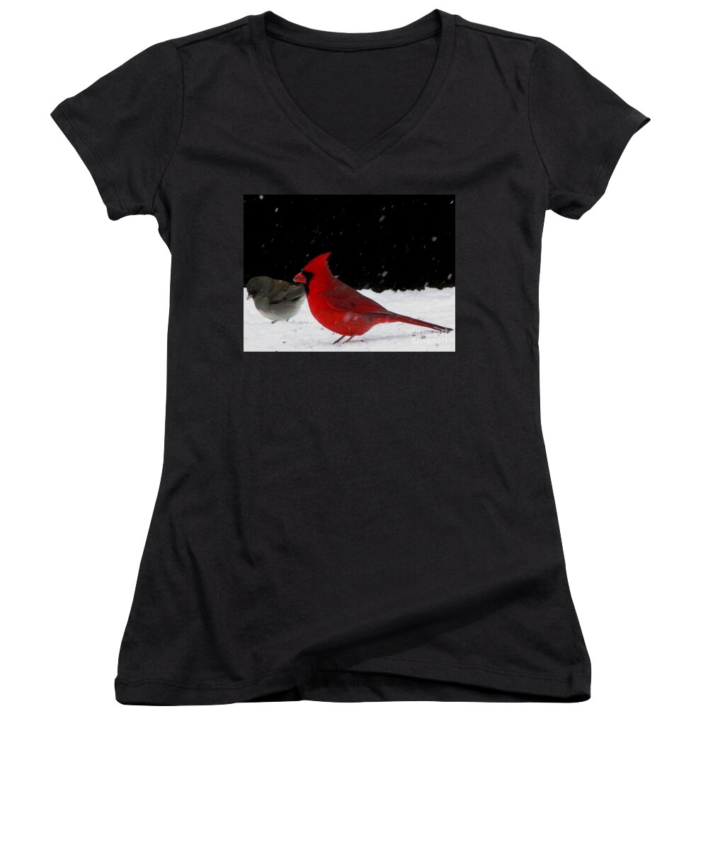 Snow Birds Of North America Snow Finch And Cardinal Red Birds Winter Birds Of The Chesapeake Bay Region Winter Song Birds Winter Wildlife Images Bird Prints Little Gray Bird In The Snow Women's V-Neck featuring the photograph Snow Birds by Joshua Bales