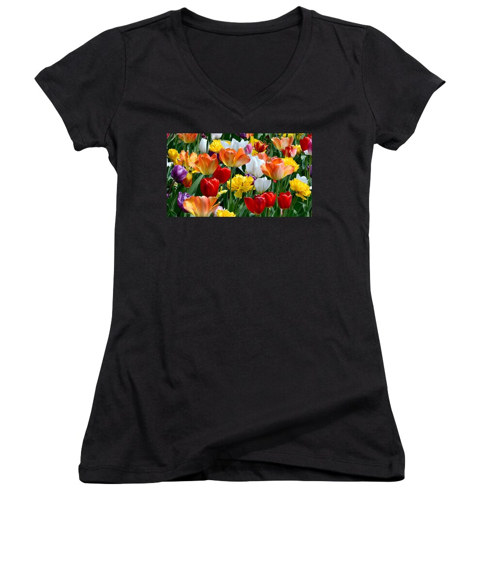 Tulips Women's V-Neck featuring the photograph Splash of Spring by William Jobes
