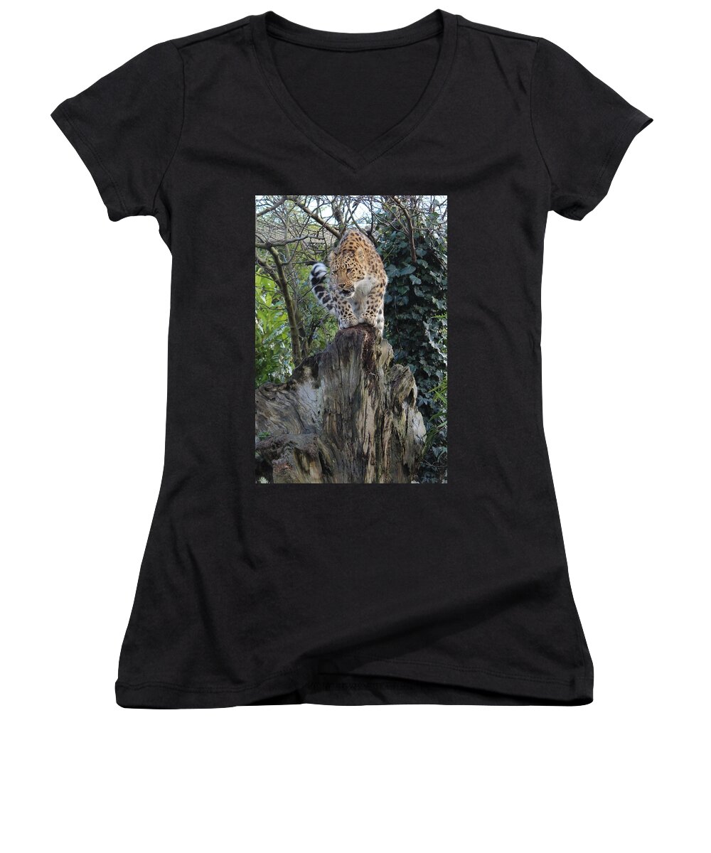 Big Women's V-Neck featuring the photograph Spotted by Sarah Qua
