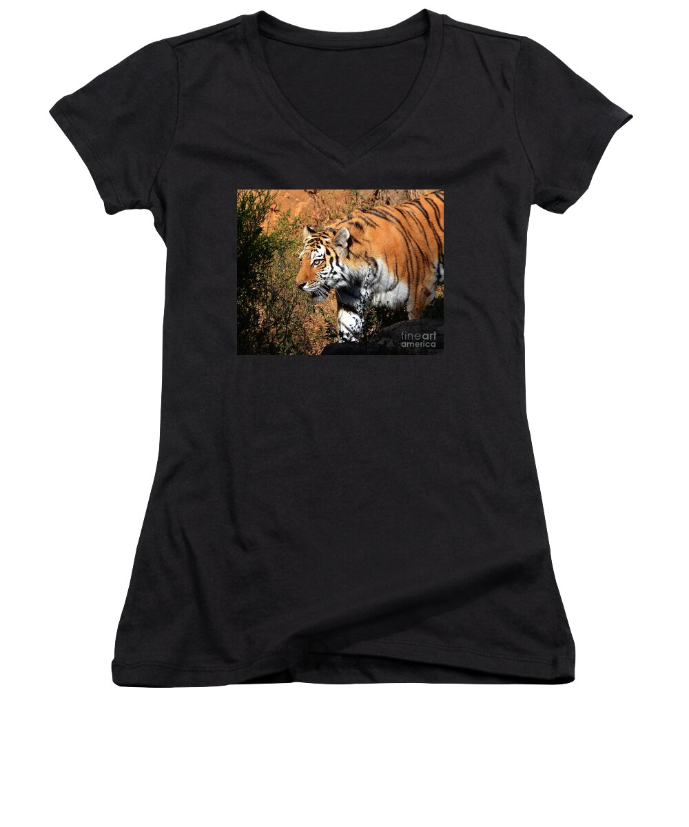 Tiger Women's V-Neck featuring the photograph Stalking Tiger 1 by Kathy Baccari