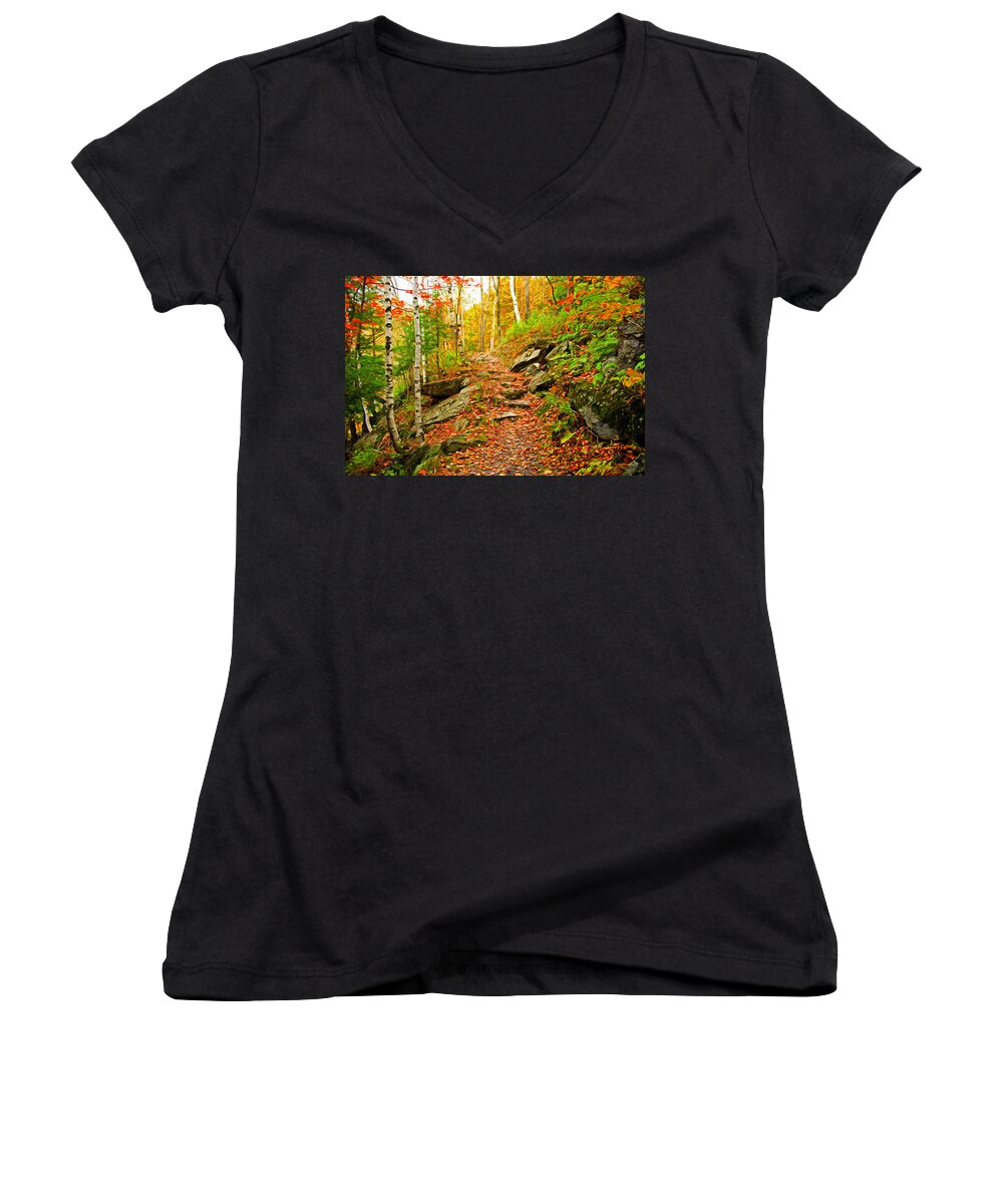Fall Women's V-Neck featuring the photograph Stepping Stones by Bill Howard