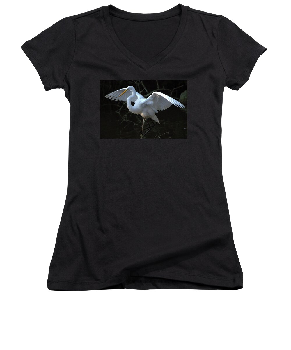 Egret Women's V-Neck featuring the photograph Successful Hunt by Charlotte Schafer