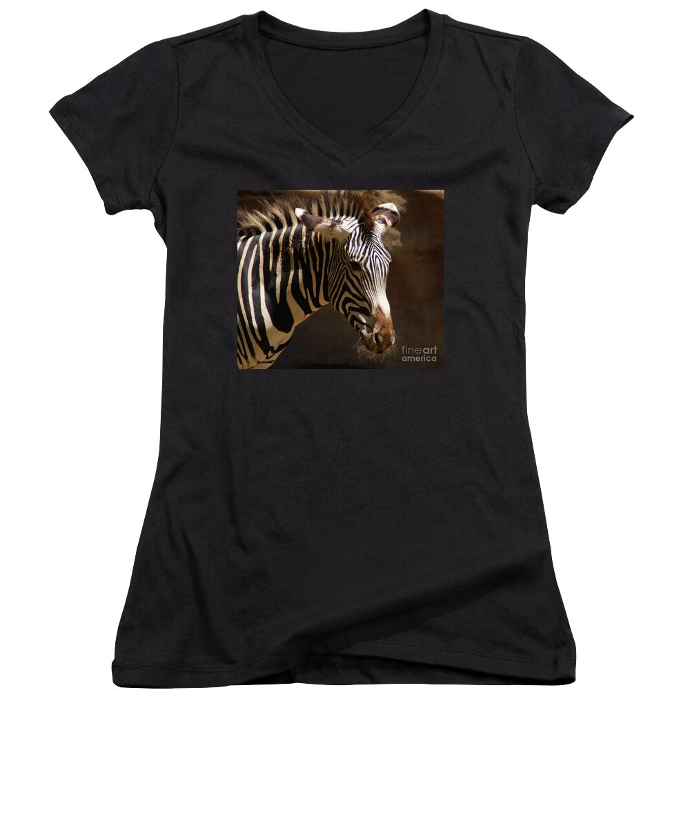 Zebra Women's V-Neck featuring the photograph Sunlit Stripes by Linda Shafer