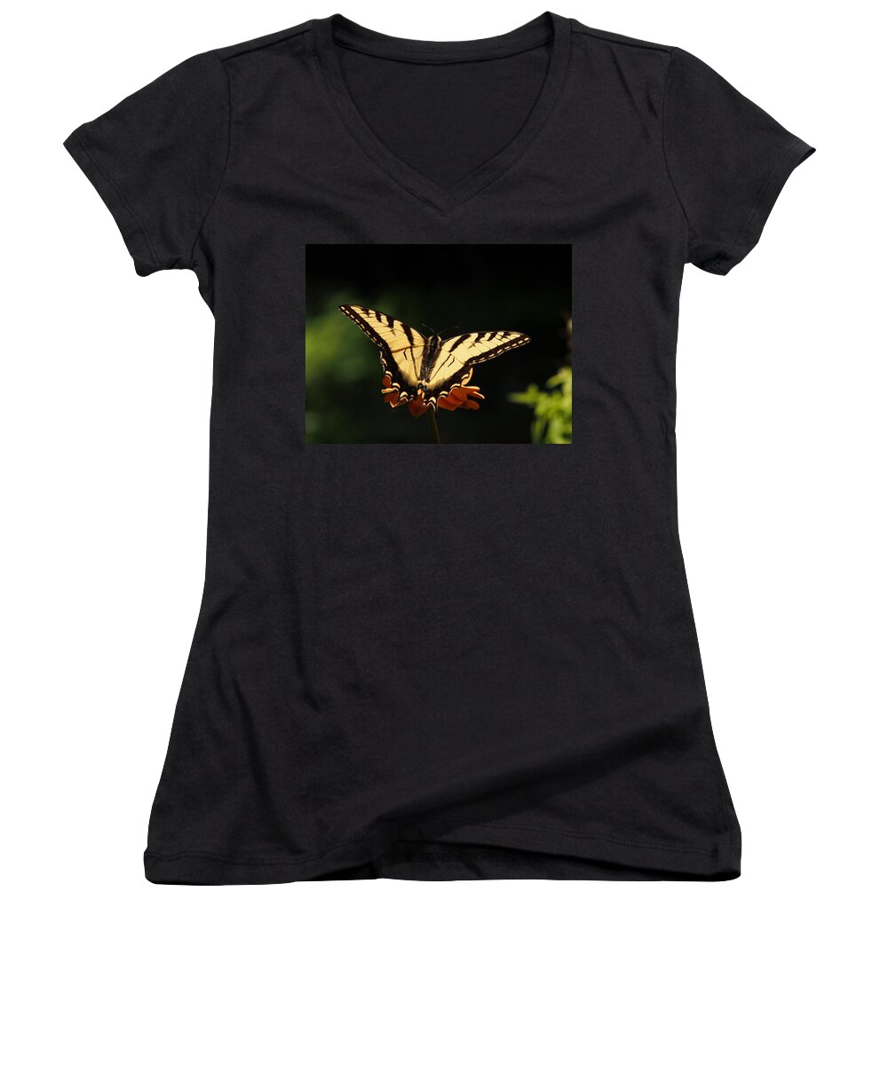Flowers Women's V-Neck featuring the photograph Swallowtail Butterfly by Dorothy Lee