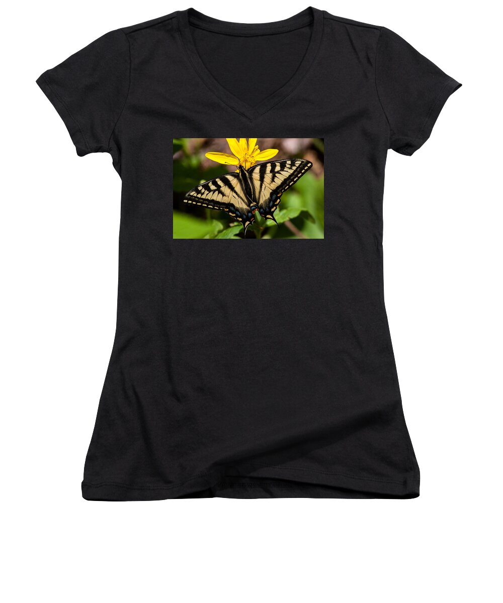 Swallowtail Women's V-Neck featuring the photograph Swallowtail Butterfly by Jack Bell