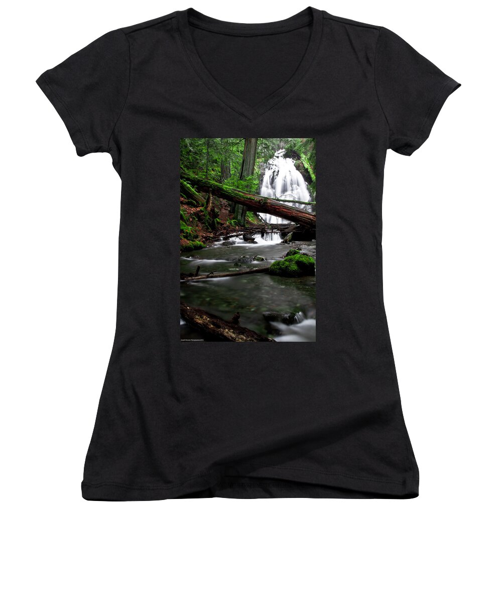 Rain Forest Women's V-Neck featuring the photograph Temperate Old Growth by Joseph Noonan