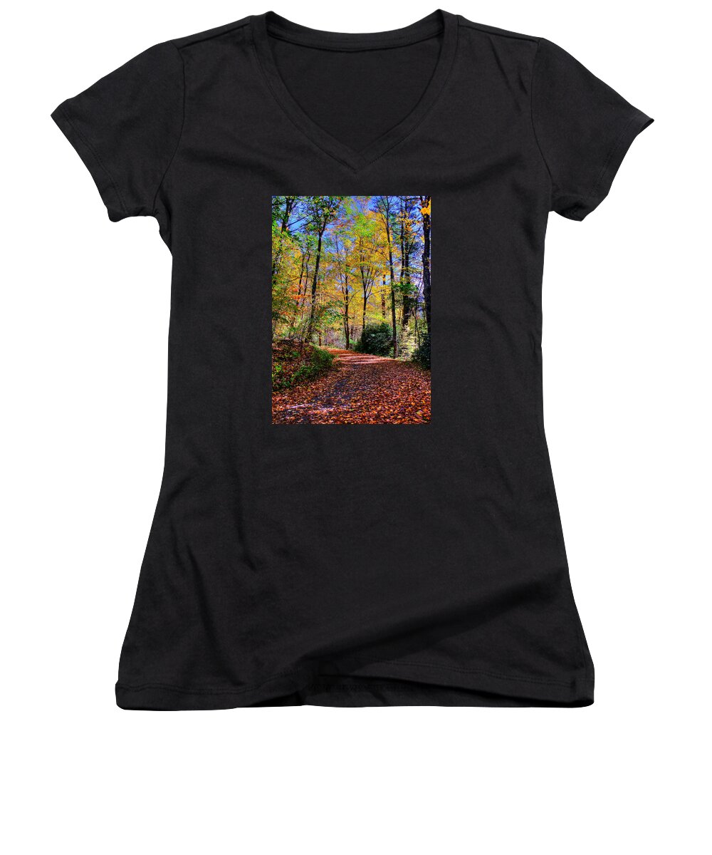 Nature Women's V-Neck featuring the photograph The Beauty of Fall by Albert Fadel