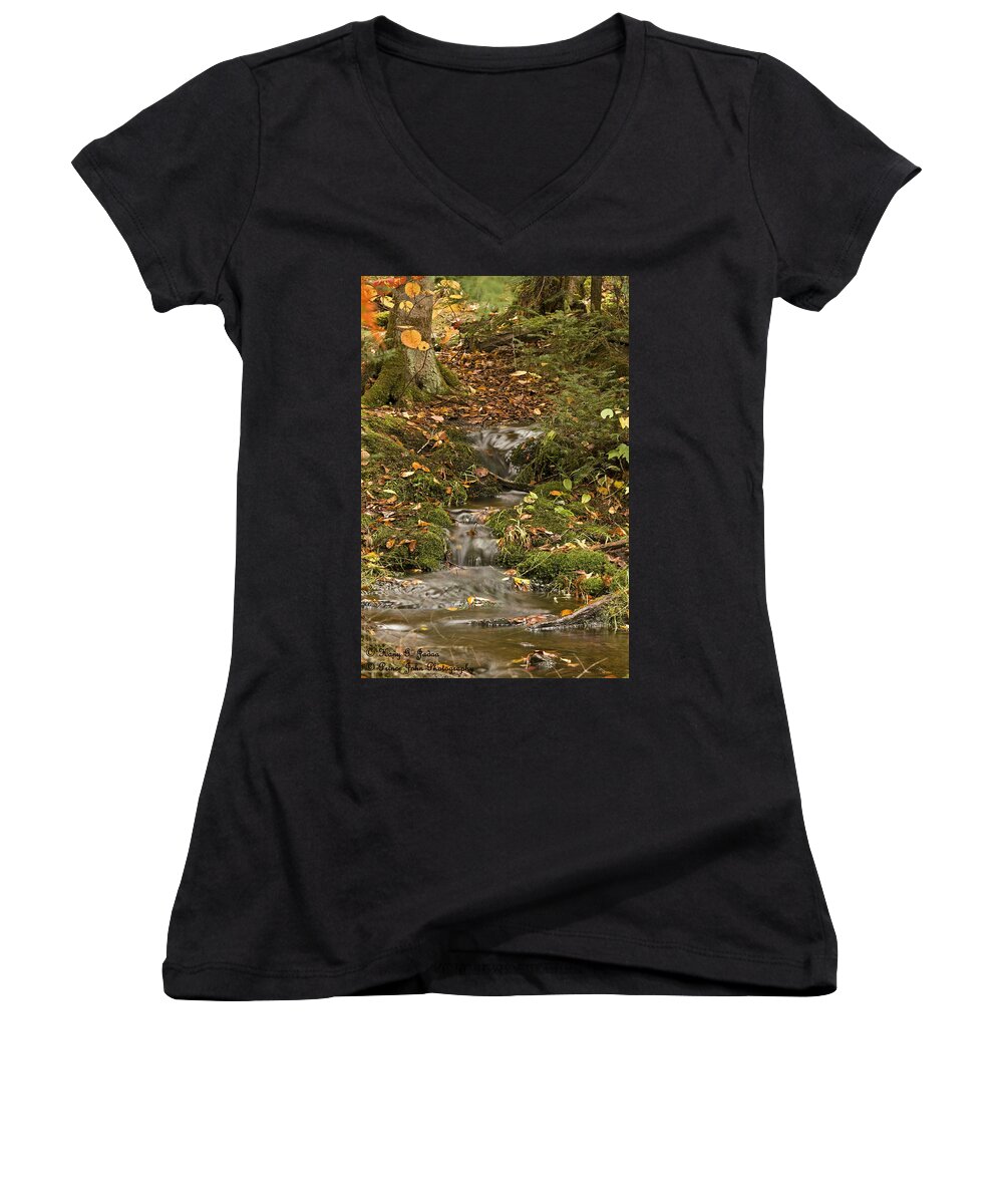 Brook Women's V-Neck featuring the photograph The Little Brook That Could by Hany J