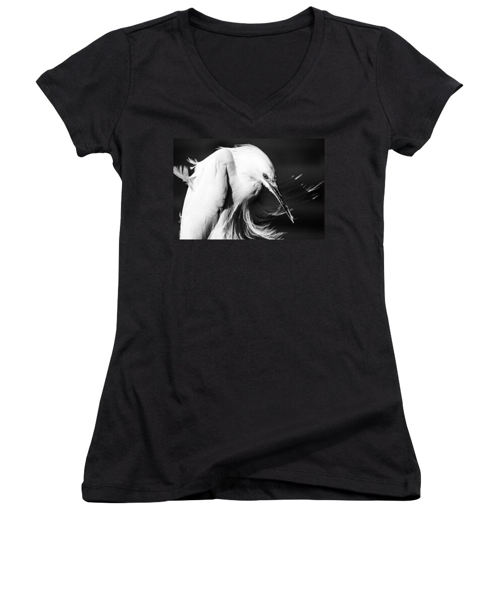 Snowy Egret Women's V-Neck featuring the photograph The Thinker by Ben Graham