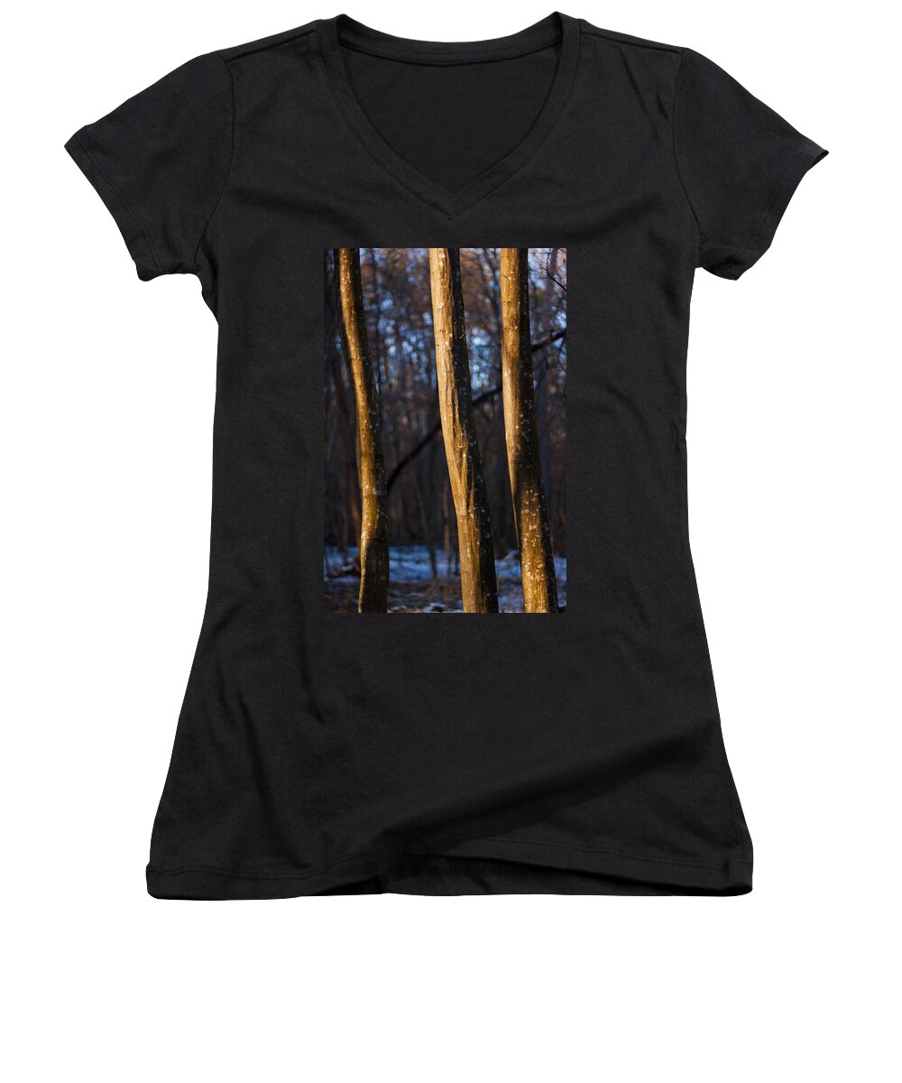 Forest Women's V-Neck featuring the photograph The Three Graces by Davorin Mance