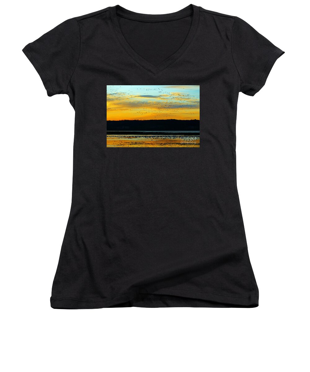 Birds Women's V-Neck featuring the photograph The Travelers by Elizabeth Winter